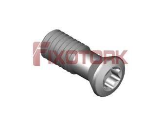 PARAFUSO TORX 35L91-E4810