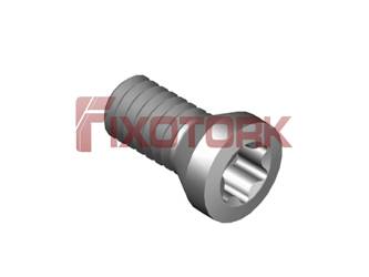 PARAFUSO TORX 25L55-A3708