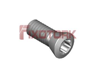 PARAFUSO TORX 40L10-W6420