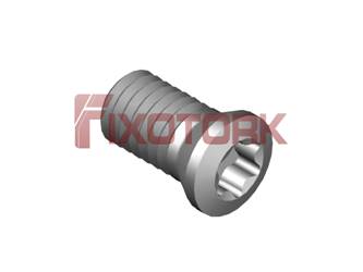 PARAFUSO TORX 30L55-A4209