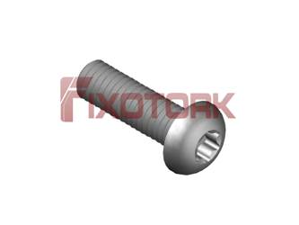PARAFUSO TORX 30L12-L5509