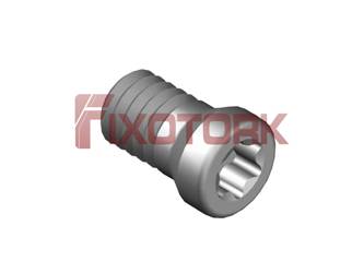 PARAFUSO TORX 25L50-A3307