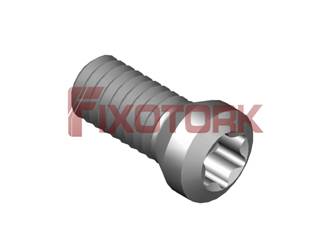 PARAFUSO TORX 25L70-A3708