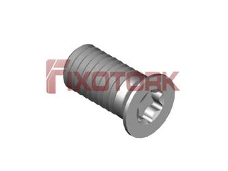 PARAFUSO TORX 50L10-W7015