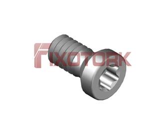 PARAFUSO TORX 22L50-B3507