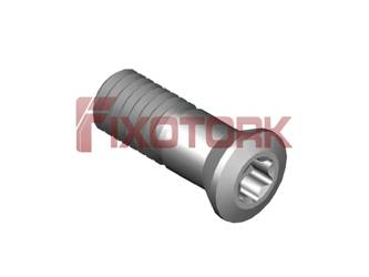 PARAFUSO TORX 60L17-Z8725