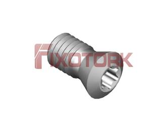PARAFUSO TORX 60L12-A8525