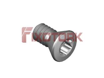 PARAFUSO TORX N6-32L69-W6015
