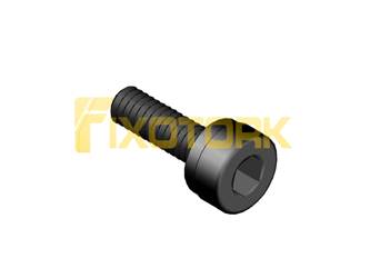 PARAFUSO ALLEN 30L11-D55A25