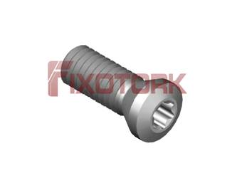 PARAFUSO TORX 35L10-A5215