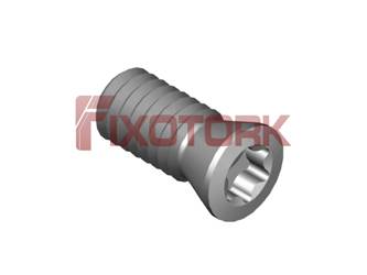 PARAFUSO TORX 25L55-E3307
