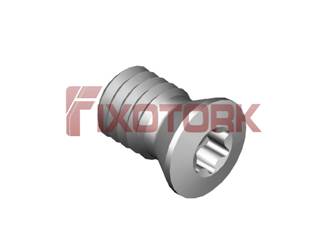 PARAFUSO TORX 35L53-A4809