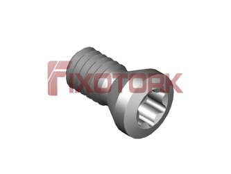 PARAFUSO TORX 25L55-B3808