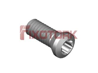 PARAFUSO TORX 25L65-A3808