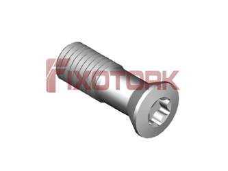PARAFUSO TORX 70L21-A1030