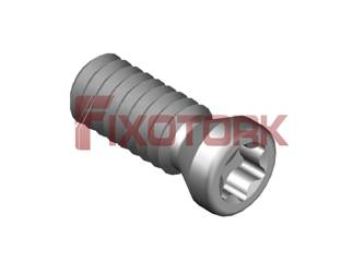 PARAFUSO TORX 20L58-A2606