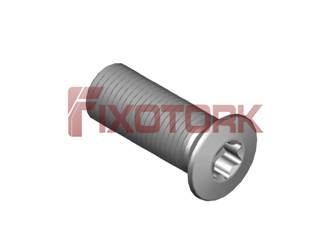 PARAFUSO TORX 10-32L13-W7115