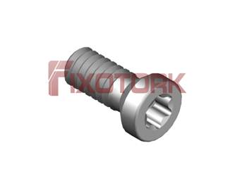 PARAFUSO TORX 22L60-A3507