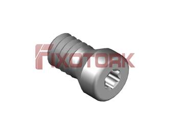 PARAFUSO TORX 22L45-A3107