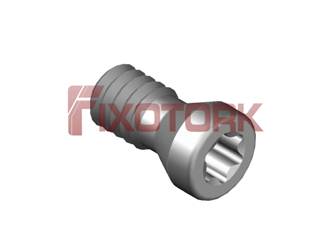 PARAFUSO TORX 22L50-A3107
