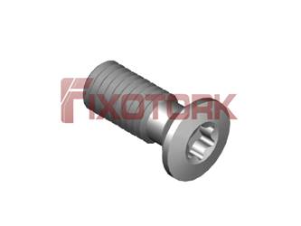 PARAFUSO TORX 50L12-G8020