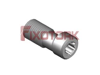 PARAFUSO TORX 35L95-J4109