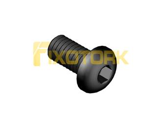 PARAFUSO ALLEN 30L75-L55A20