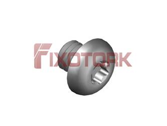 PARAFUSO TORX 40L61-L7515