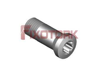 PARAFUSO TORX 30L85-AM4208