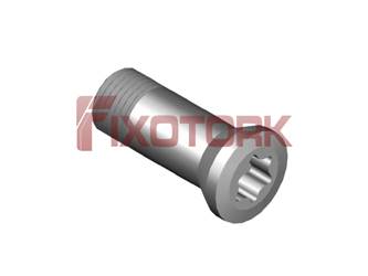 PARAFUSO TORX 35L10-AM5010