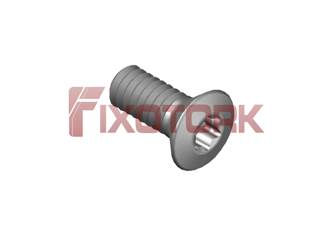 PARAFUSO TORX 20L53-W3806