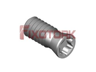 PARAFUSO TORX 22L50-W2607