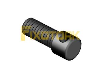 PARAFUSO AXIAL 30L10-AX40DIAM1.7