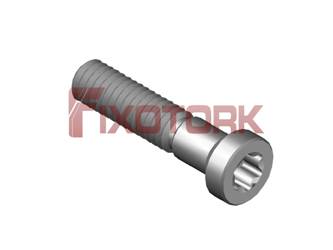 PARAFUSO TORX 25L13-AM4008