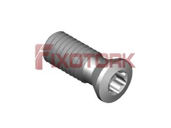 PARAFUSO TORX 50L13-K6720