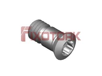 PARAFUSO TORX 30L66-AM4208