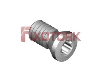 PARAFUSO TORX 25L50-A3507