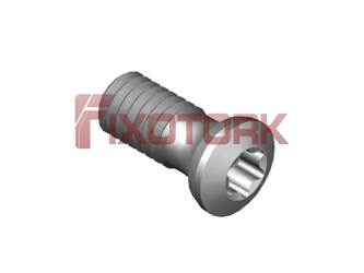 PARAFUSO TORX 40L10-G6115