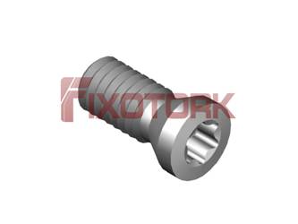 PARAFUSO TORX 25L60-A3507