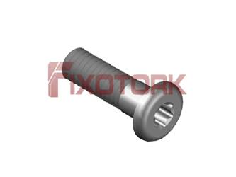 PARAFUSO TORX 40L14-R7315