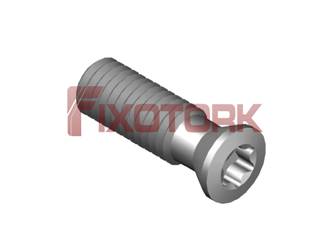 PARAFUSO TORX 50L16-B6620