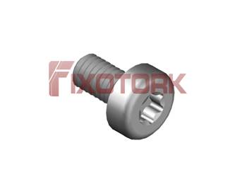 PARAFUSO TORX 40L10-L8020