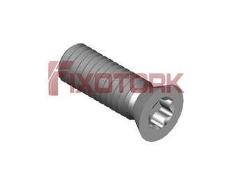 PARAFUSO TORX 40L11-W5815