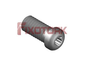 PARAFUSO TORX 60L15-L8220