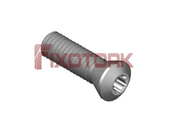 PARAFUSO TORX 45L15-A6915