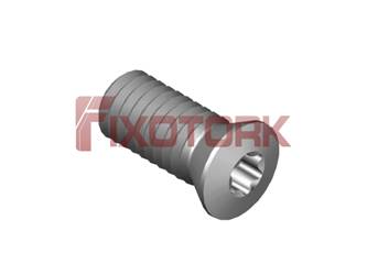 PARAFUSO TORX 60L14-B8520/30°