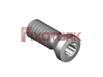 PARAFUSO TORX 25L70-A3507