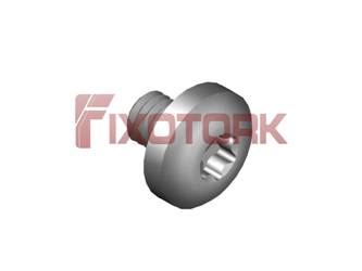 PARAFUSO TORX 35L65-L8015