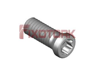 PARAFUSO TORX 35L80-A4815