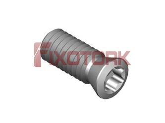 PARAFUSO TORX 40L10-E5015